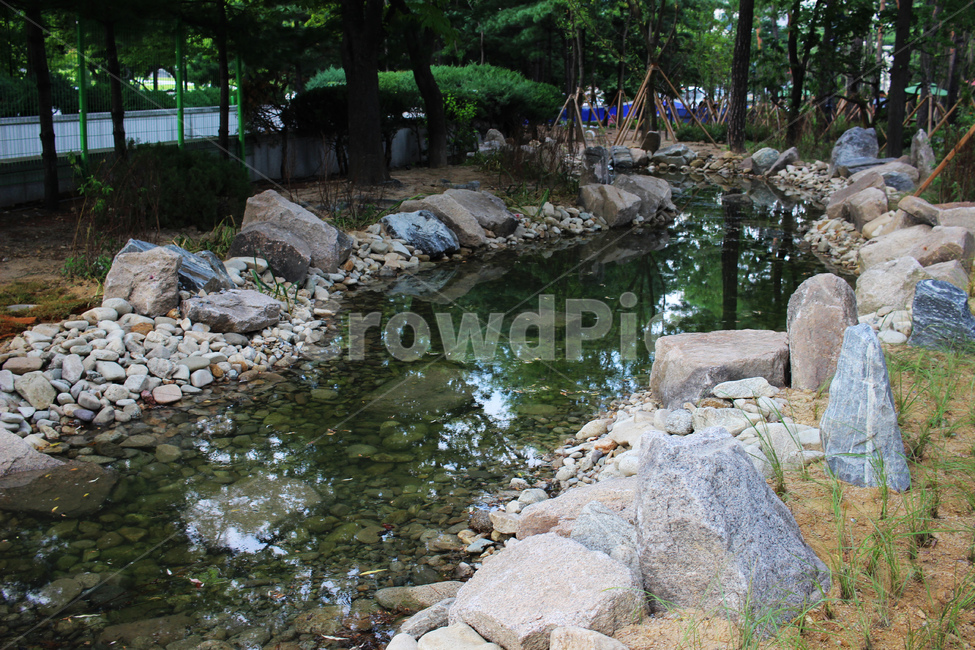 water,자연,campus,연못,nature