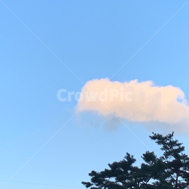 구름,자연,날씨,하늘,옥외,weather,outdoors,nature,cumulus,자연,풍경,nature,landscape,적운,cloud,sky