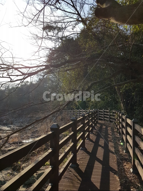 banister,난간,handrail,railing,bridge,다리,building,건물,boardwalk,산책로,제주도,자연,풍경,nature,landscape
