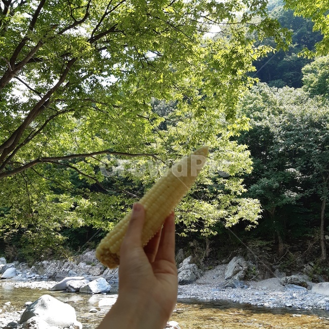 계곡,옥수수,valley,corn,바위