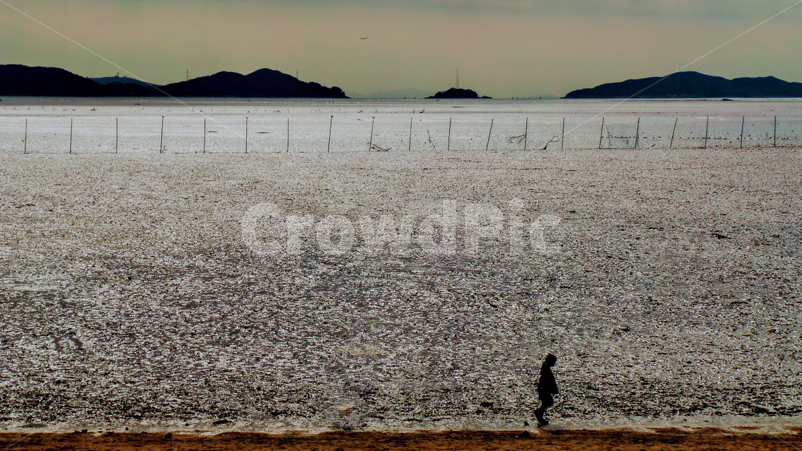 바다,바닷가,갯벌,해변,사람,sea,자연,풍경,nature,landscape