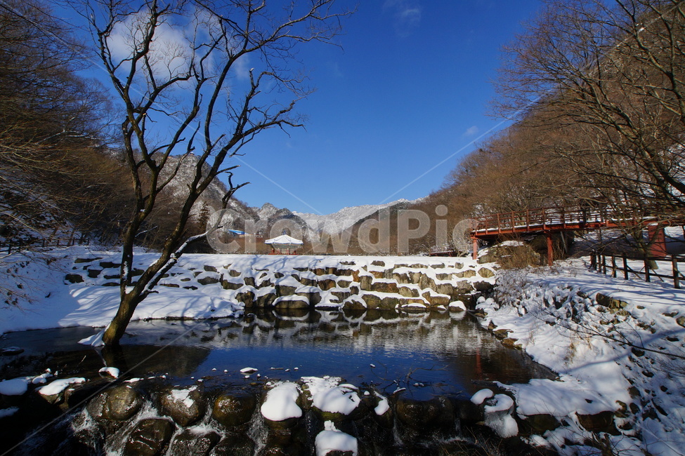 내장산설경,우화정,설경,국립공원,정읍,푸른하늘,겨울,눈,겨울,계절,winter,season,자연,풍경,nature,landscape,한국자연풍경,한국자연경관,korea nature landscape