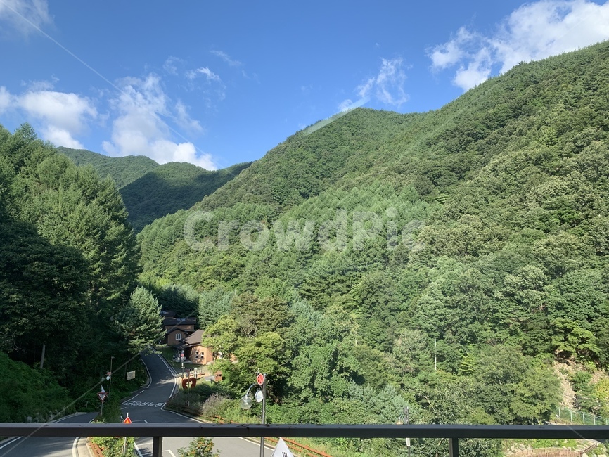 자연,nature,산,풍경,숲속,옥외,outdoors,자연,풍경,nature,landscape