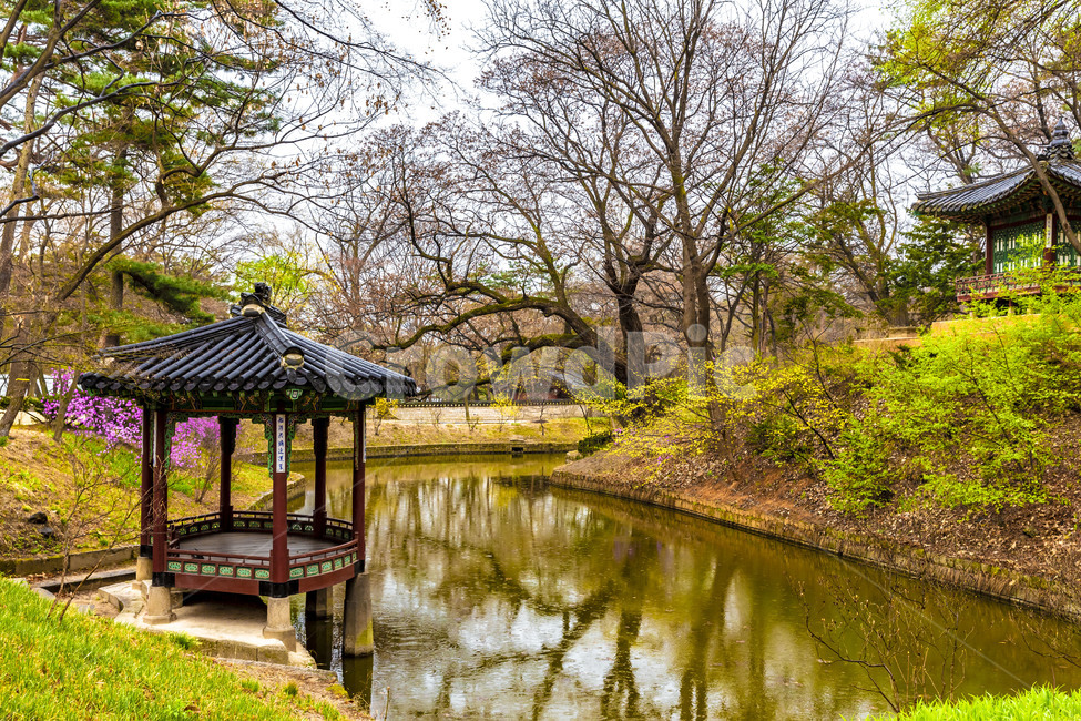 창덕궁,고궁,궁궐,연못,관람정,정자,반영,못,봄,랜드마크,landmark,tourist attraction,한국랜드마크,한국관광지,한국명소,korea landmark,korea tourist attraction