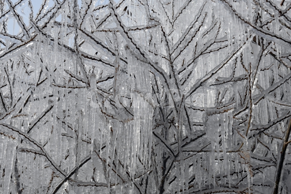 겨울,고드름,얼음,풍경,꽁꽁,수정고드름,추위,상고대,겨울,계절,winter,season