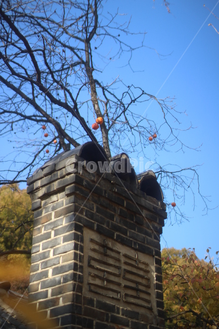 감,한국민속촌,하늘,풍경,전통,한국전통,한국문화,korean traditional,korean culture,건축물,건물외관,exterior,building,structure,architecture,construction