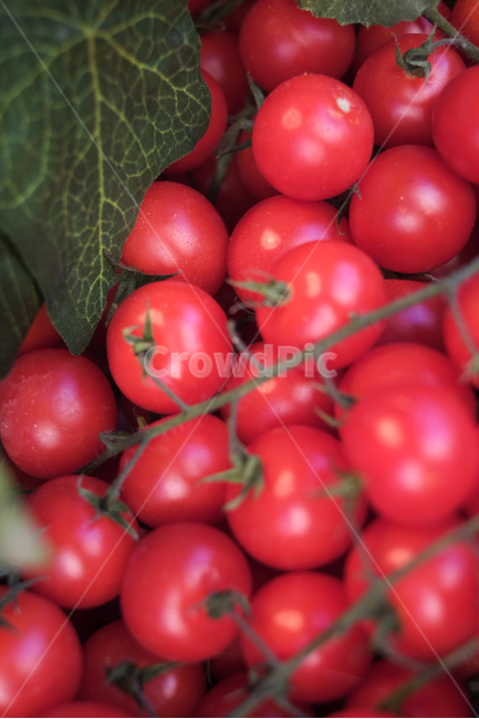 토마토,방울토마토,과일,야채,시장,음식,식재료,요리,food,cook,meal,dishes,food reserves,채소,야채,vegetables