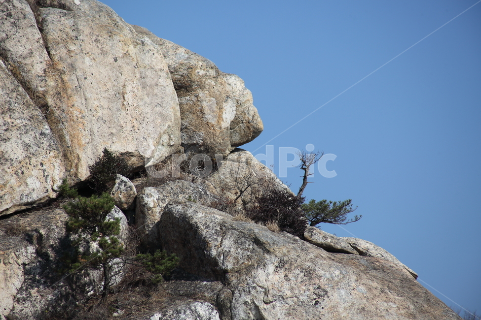 소나무,바위,금산,하늘,pine,남해금산,자연,풍경,nature,landscape,rock,록,outdoors,옥외,cliff,낭떠러지