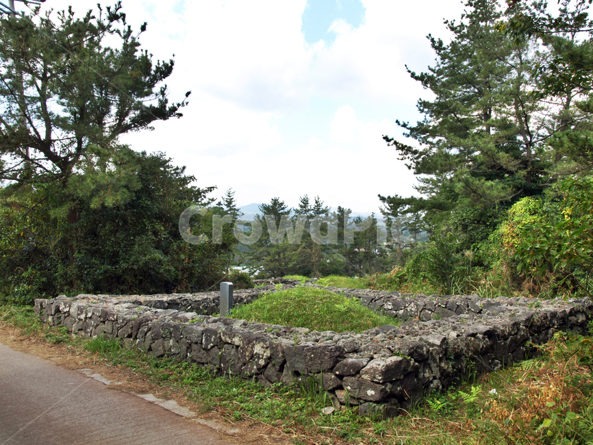 무덤,돌담,전통,올레4코스,올레길,제주,서귀포시,자연,풍경,nature,landscape,tree,나무,plant,식물,fir,전나무