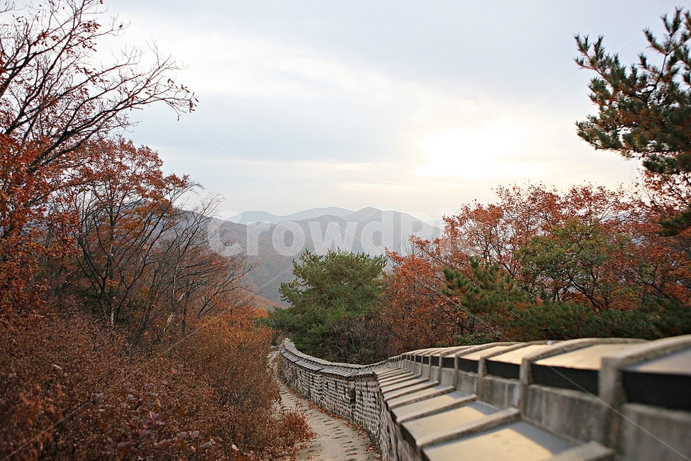 남한산성,성,성곽,단풍,낙엽,길,둘레길,담,돌담,가을,자연,풍경,벽,울긋불긋,산성,식물,가을,계절,fall,autumn,season,한국전통,한국문화,korean traditional,korean culture,handrail,난간,banister