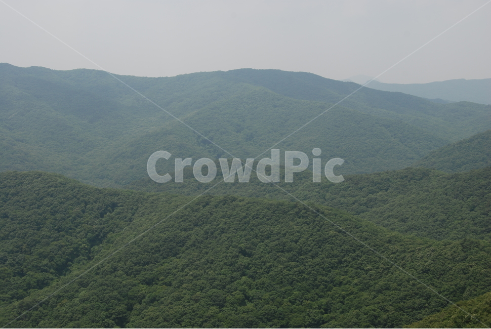 내장산,국립공원,신성봉,탐방로,휴양림,자연,풍경,nature,landscape,outdoors,옥외,slope,경사,hill,언덕