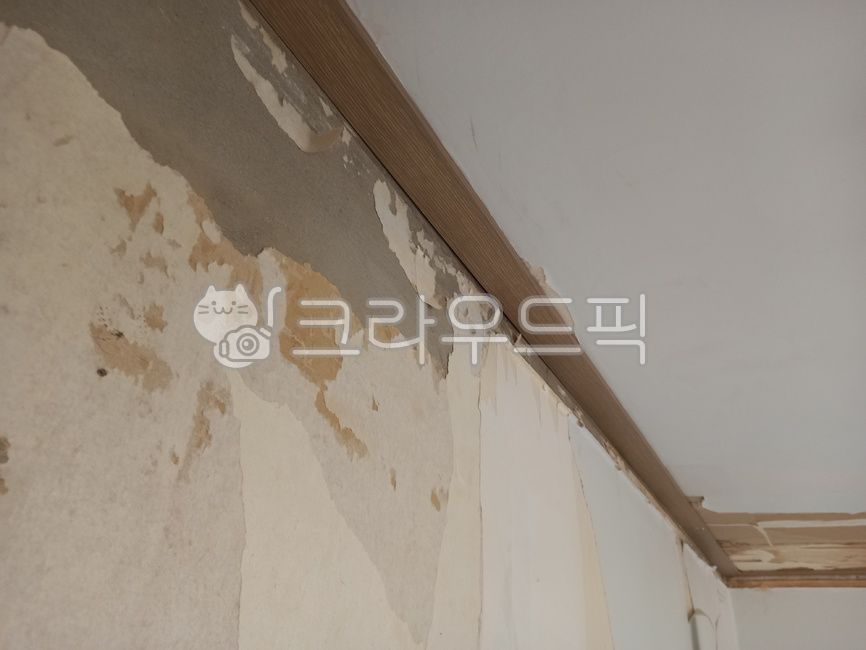 home repairs,Repair of defects,construction,Ceiling work,molding,construct,Ceiling molding,interior