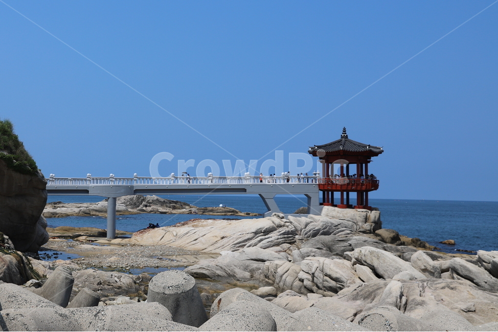 속초,영금정,바다,강원도,풍경,바위,정자,다리,자연,여름,한국자연풍경,sea,rock,bridge,nature,landscape,koreanature,한국자연경관