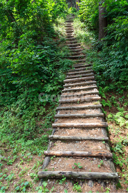 소나무길,소나무,외씨버선길,숲,환경,식물,농촌,자연,풍경,nature,landscape,staircase,계단,outdoors,옥외,garden,정원,arbour,정자