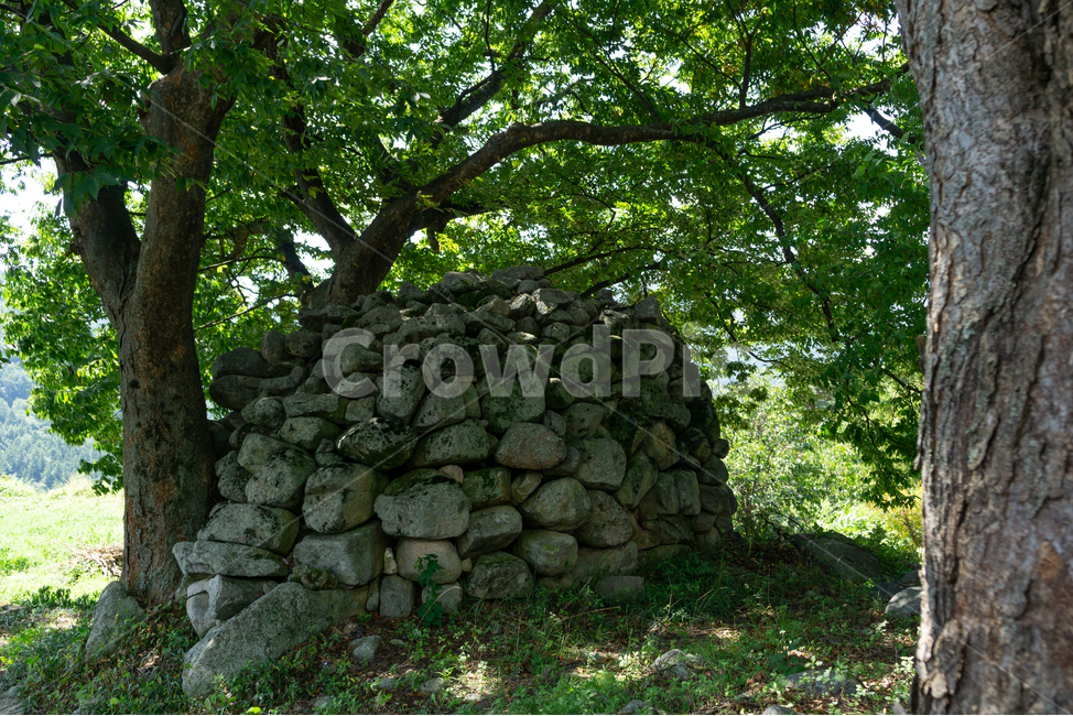 자연,나무,돌,그림자,쉼터,자연,풍경,nature,landscape,tree,plant,식물,tree trunk,나무 줄기