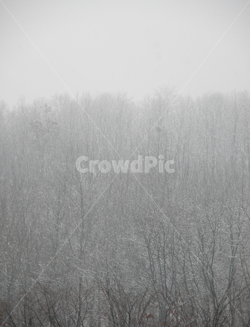 눈,산,겨울,풍경,겨울산,겨울,계절,winter,season