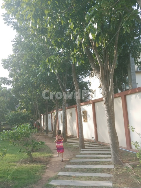 태국,여자아이,휴양지,파타야,어린이,아이,여행,딸,가족,여름,동남아,thailand,pattaya,동네,산책,아침,뒷모습,인물,사람,마을,나무,초록,잔디,자연,풍경,태국마을,태국풍경,태국모습