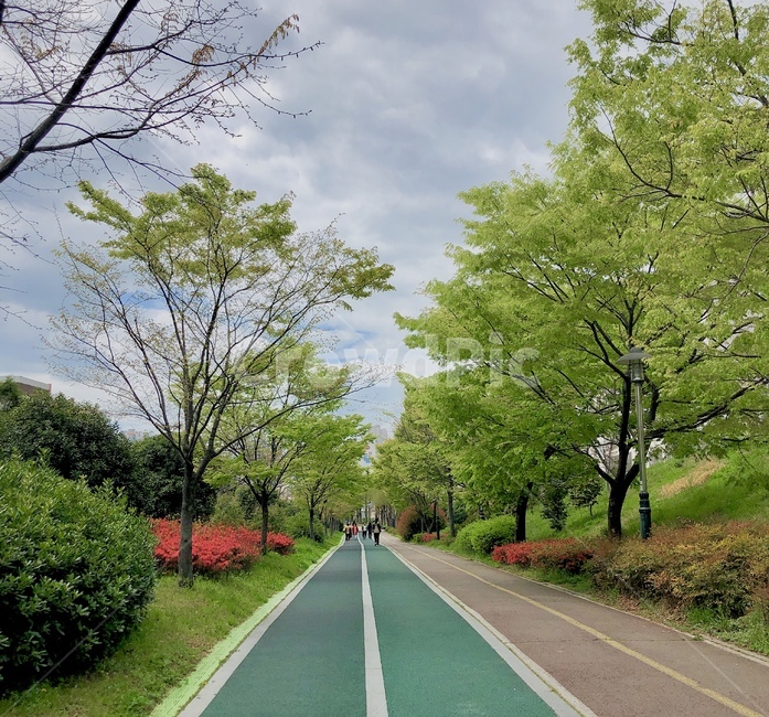 자연,나무,하늘,산책,산책로,자연,풍경,nature,landscape,asphalt,아스팔트,road,도로,freeway,고속 도로,highway,고속도로