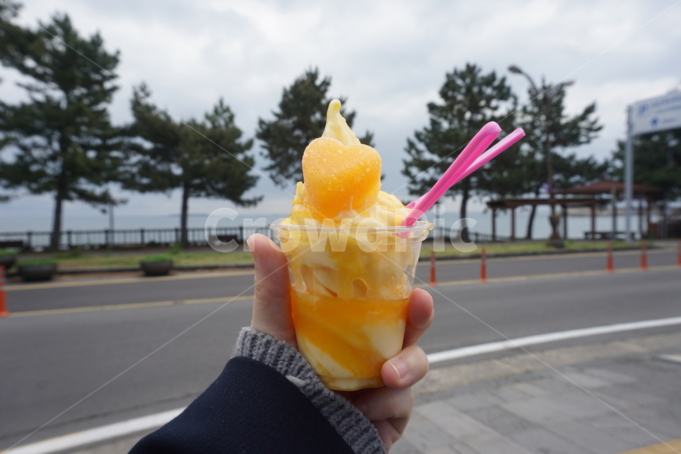 아이스크림,행복,달콤,하드,힐링,오렌지아이스크림,오렌지,레몬아이스크림,레몬,천혜향,감귤아이스크림,노란아이스크림,천혜향아이스크림,소프트아이스크림