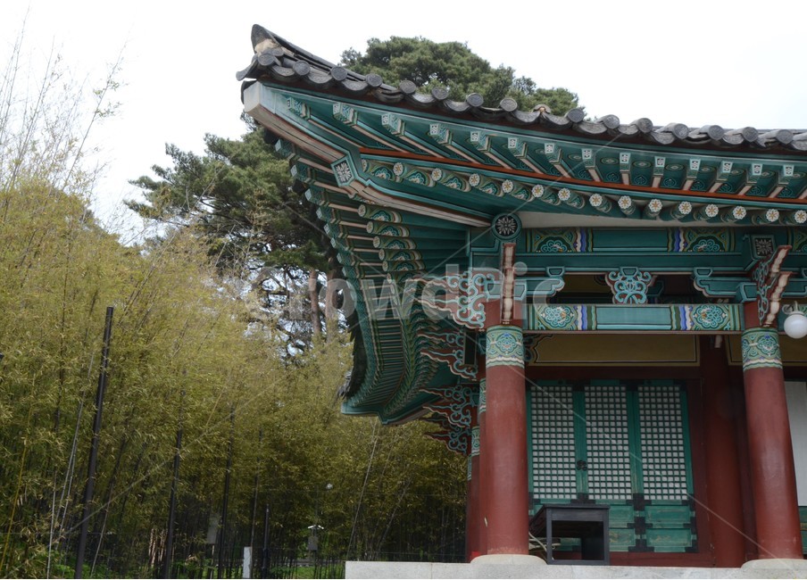 오죽헌,대나무,전통가옥,building,건물,architecture,건축물,기와집,전통문양,처마,단청