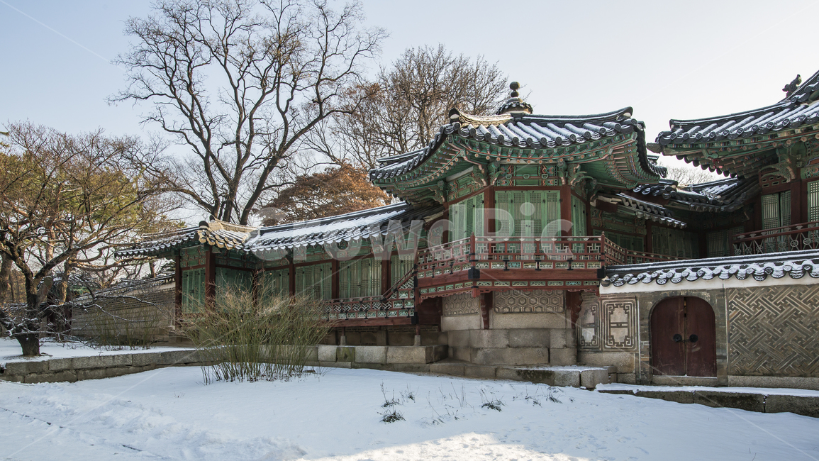고궁,역사,서울,창덕궁,비원,조선,겨울,계절,winter,season,한국전통,한국문화,korean traditional,korean culture,랜드마크,landmark,tourist attraction,한국랜드마크,한국관광지,한국명소,korea landmark,korea tourist attraction,건축물,건물외관,exterior,building,structure,architecture,construction