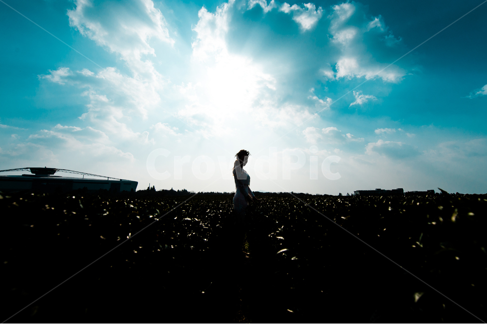 실루엣,자연,배경,하늘,파란하늘,구름,맑은하늘,녹차밭,자연,풍경,nature,landscape,사람,인물,인간,human,person,여성,여자,woman,female,lady,인물실루엣,사람실루엣,character silhouette,human silhouette,light,빛,flare,플레어