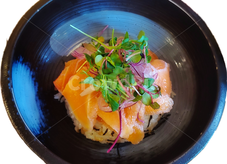 연어덮밥,연어,연어요리,사케동,일식,음식,무순,salmon,food
