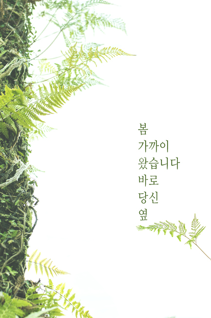 green,나무,나뭇잎,네이처,가지,식물학,계절,신선,데코,근접,뜰,성장,봄,엽상체,덤불,매크로,flower,여름,들판,목초지,목초,beautiful,내추럴,배경,디자인,바탕,풍성한,봄배경,plant,식물,봄,계절,spring,season