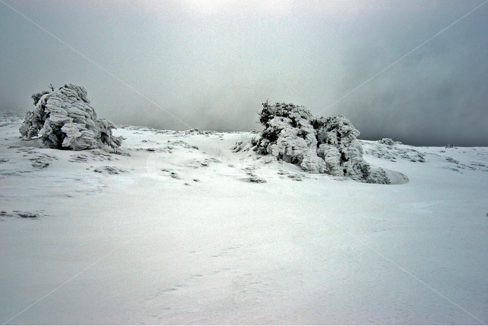 겨울산,한라산,제주도,설경,어리목코스,설산,한라산설경,겨울,설화,겨울,계절,winter,season,자연,풍경,nature,landscape