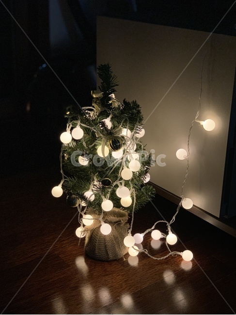 나무,장식,크리스마스,tree,겨울,메리크리스마스,성탄절,merry christmas