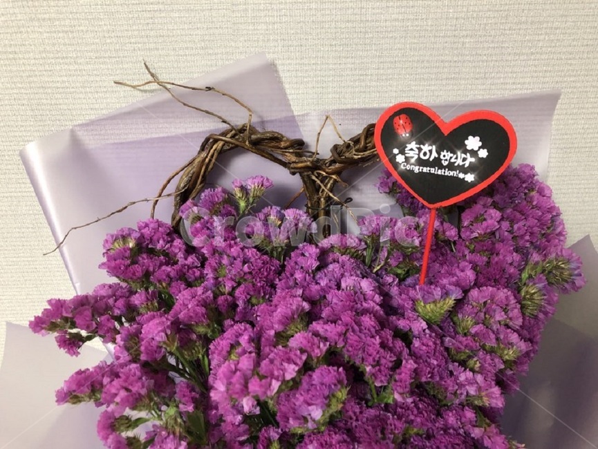 축하꽃,졸업선물꽃,축하합니다꽃,꽃,꽃송이,꽃다발,꽃,flower