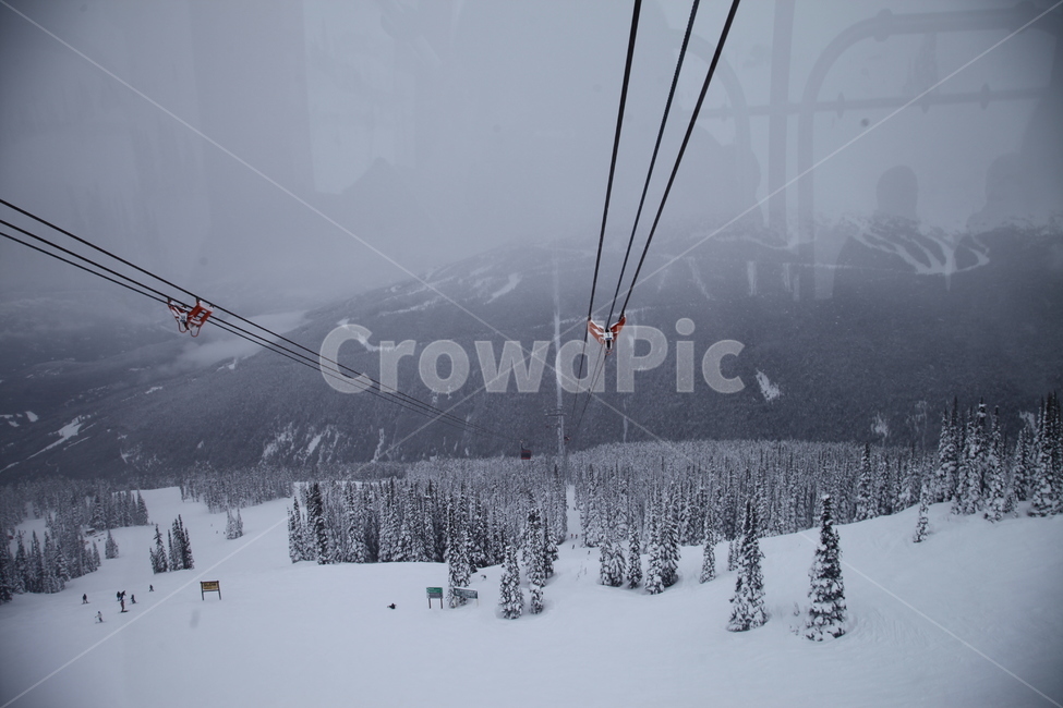 곤돌라,눈,캐나다,유럽,눈발,아름다운,겨울,계절,winter,season,자연,풍경,nature,landscape,cable car,케이블카,vehicle,차량,transportation,교통,plant,식물,tree,나무