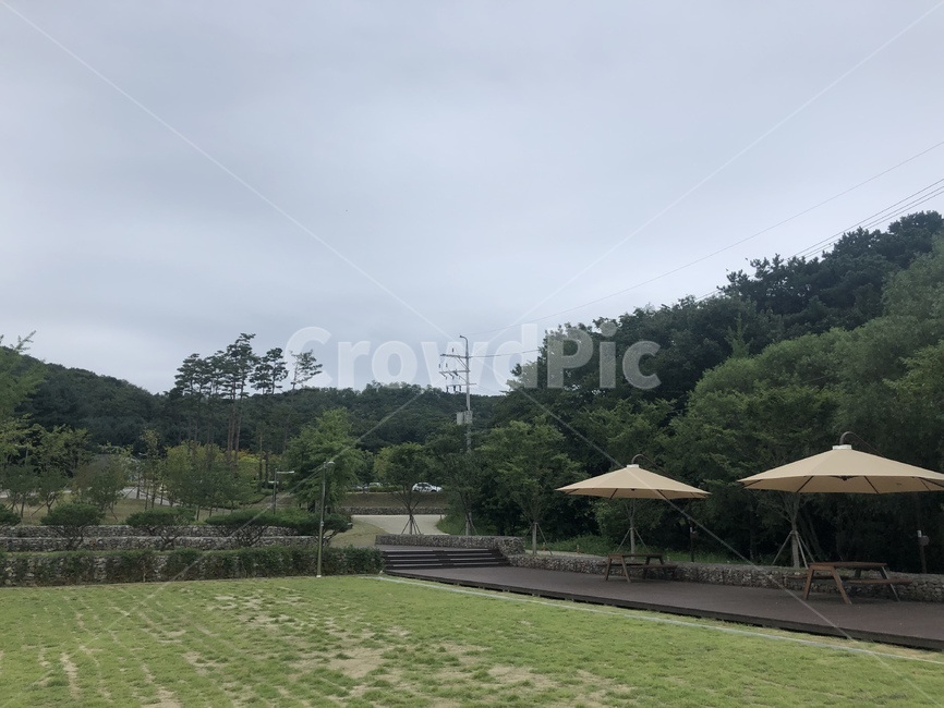 자연풍경,자연,풍경,초록풍경,산,자연,풍경,nature,landscape,grass,잔디,plant,식물
