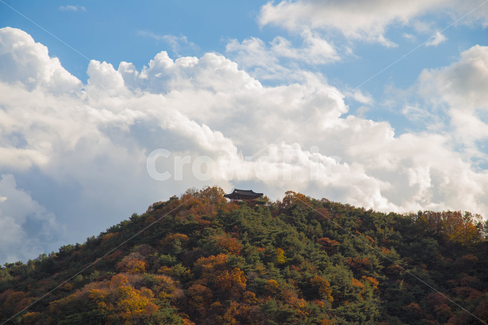 구름,한국,korea,가을,단풍