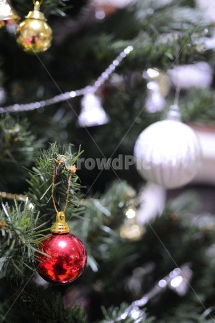 크리스마스,트리,장식,구슬,Christmas,ball,decoration,성탄절,겨울,계절,winter,season,기념일,축하,anniversary,congratulation,celebrate,celebration,메리크리스마스,성탄절,merry christmas,사물,물건,오브젝트,thing,object,matter