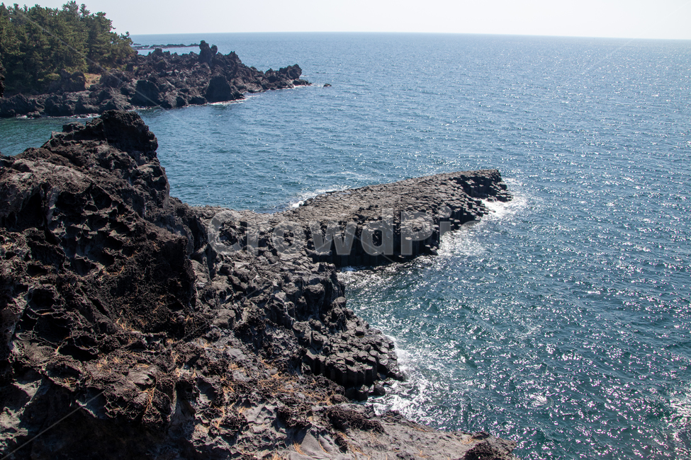 자연,주상절리,제주도,바다,바위,자연,풍경,nature,landscape,제주도,jeju,jeju island