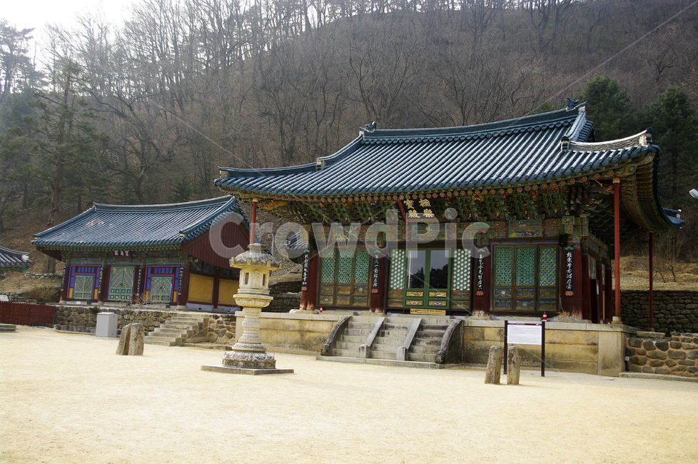 신흥사,사찰,절,전통,건축,기와,지붕,극락보전,석탑,탑,건축물,architecture,temple,building