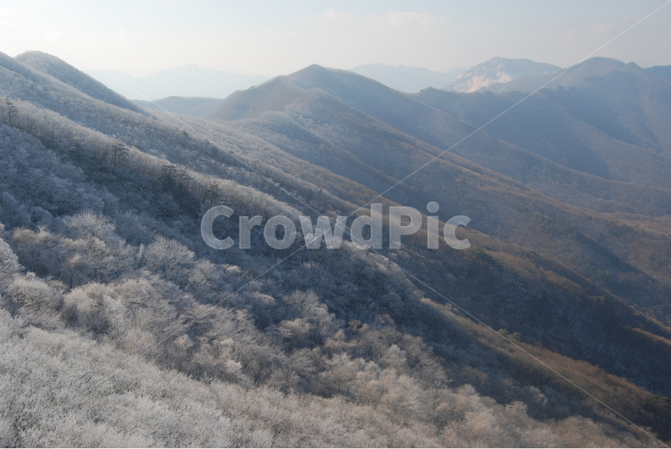 백화산,능선,나무,등산로,자연,겨울,계절,winter,season,자연,풍경,nature,landscape,slope,경사,outdoors,옥외