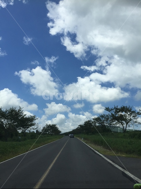 도로,road,제주도,아스팔트,asphalt,하늘,드라이브,운전,구름,나무,직진
