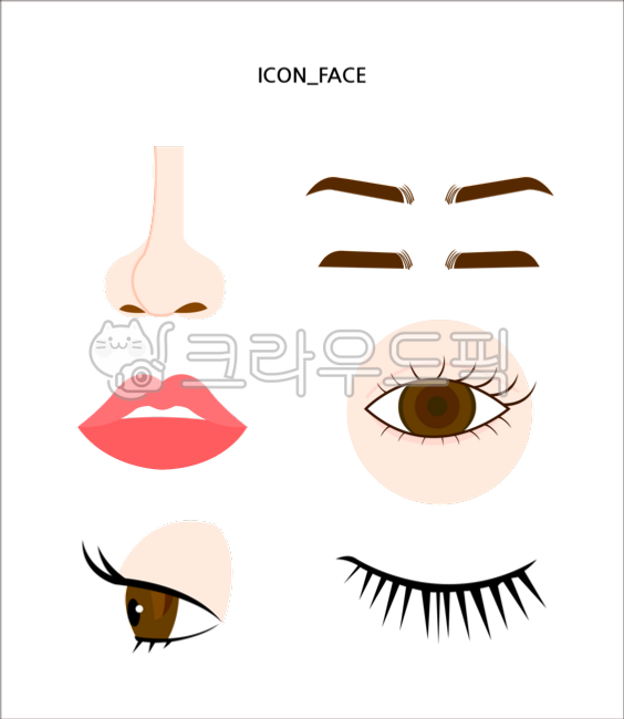 코,입술,눈,속눈썹,눈썹,입,얼굴