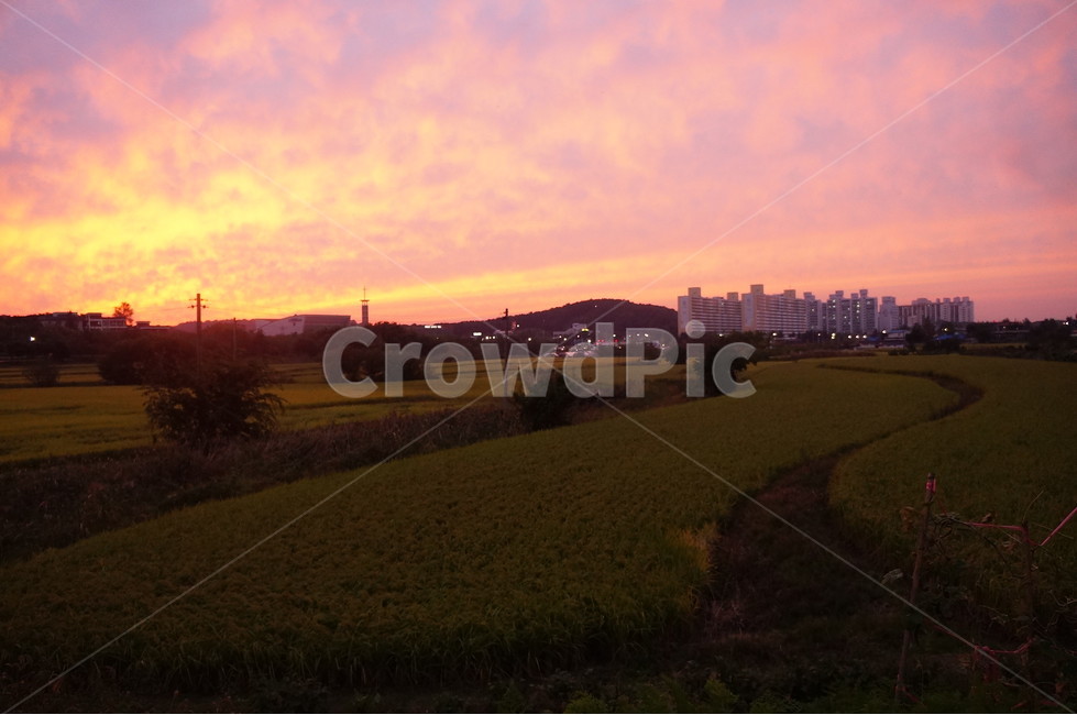 자연,nature,석양,하늘,sky,빨간색,붉은하늘,붉은노을,들판,outdoor,들,자연,풍경,nature,landscape,outdoors,옥외