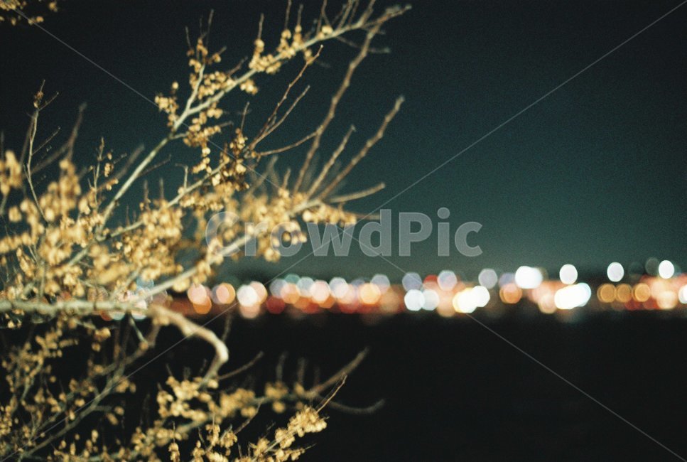 한강,야경,밤,필름사진,빈티지,빛,자연,풍경,nature,landscape,야경,밤,nightscape,night,감성,sensible,feeling,outdoors,옥외