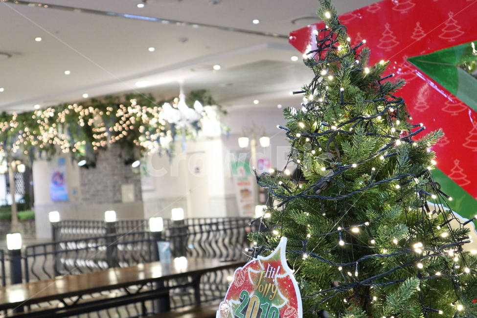 나무,크리스마스트리,christmastree,장식,조형물,tree,plant,식물,ornament,메리크리스마스,성탄절,merry christmas