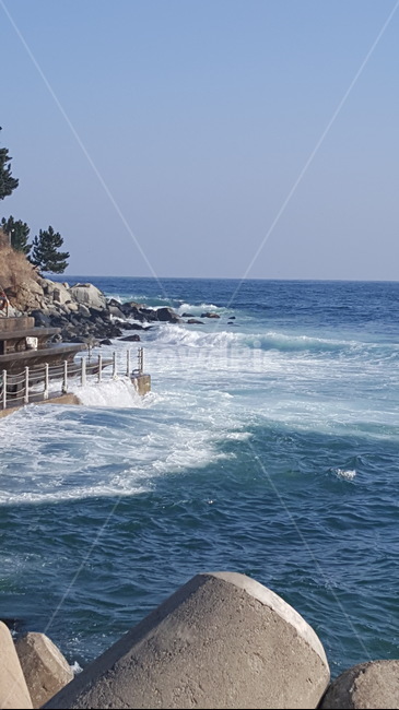 water,물,nature,자연,sea,바다,ocean,대양,해안선,파도