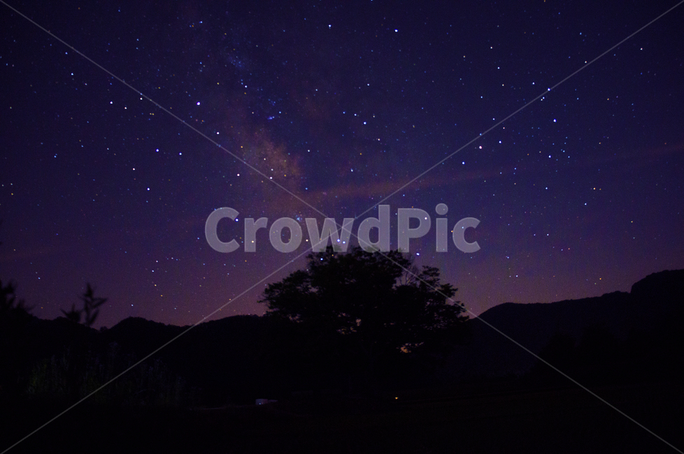 nature,자연,outdoor,옥외,충청북도,보은,원정리느티나무,밤,밤하늘,하늘,별,star,배경화면,풍경,night,sky,nightsky