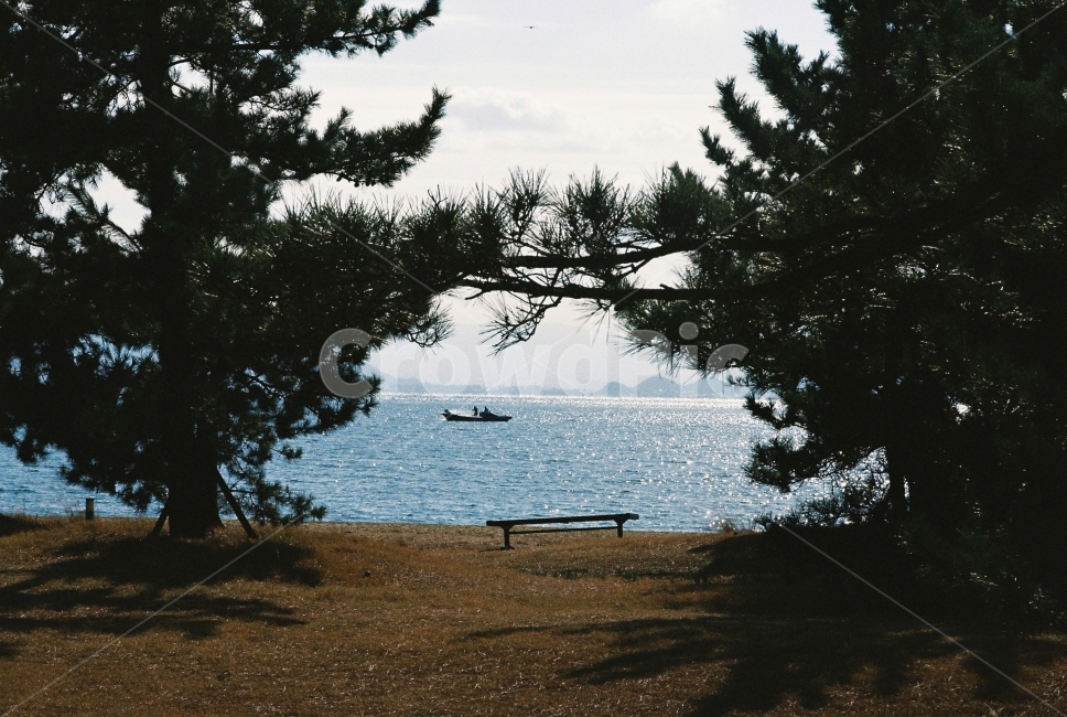 바다,배,의자,나무,풀,하늘,일본,시코쿠,일본여행,필름,필름사진,자연,풍경,nature,landscape,스포츠,레저,운동,sports,leisure,exercise,교통,교통수단,traffic,transportation,tree,plant,식물,bench,벤치
