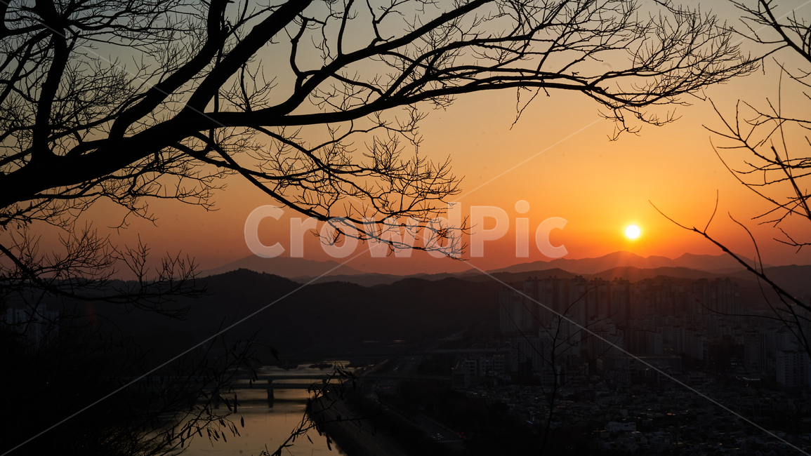 노을,해질녘,강,나무,nature,자연,outdoors,옥외,dusk,황혼,redsky,붉은하늘,dawn,새벽,sunset,일몰,sky,자연,풍경,nature,landscape