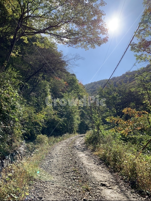 도로,흙길,gravel,road,지리산,둘레길,자연,산길,산,자연,풍경,nature,landscape