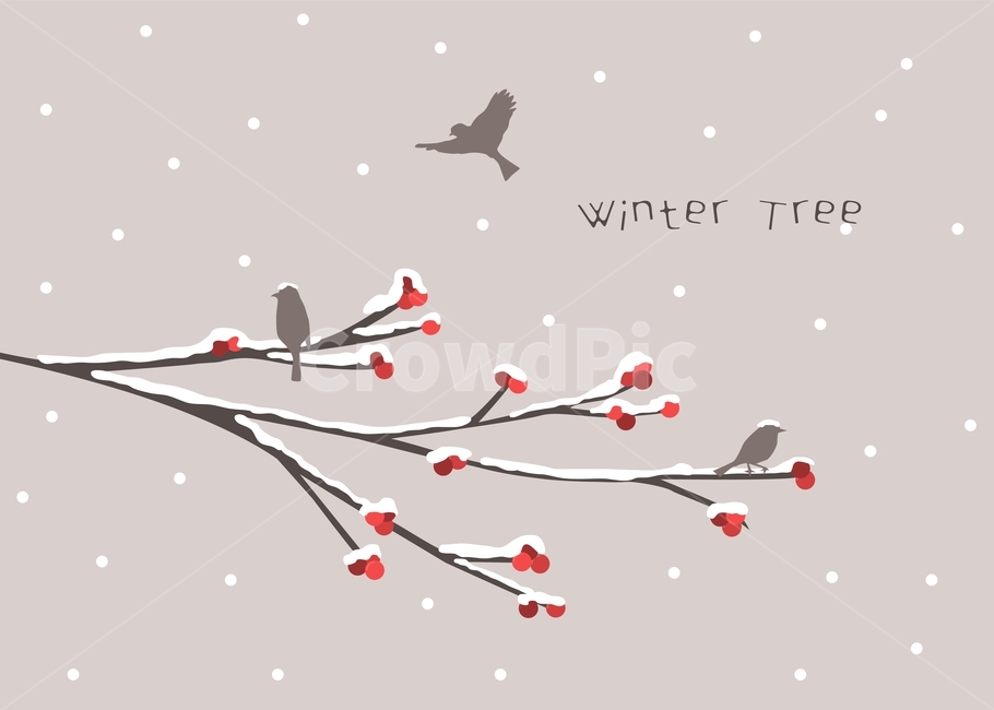 눈,새,열매,나무,겨울,식물,가지,겨울,계절,winter,season,그래픽,일러스트레이션,graphic,illustration