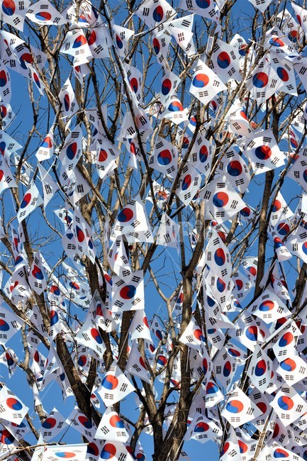 태극기,현충일,삼일절,광복절,국기,한국,flag,nationalflag,koreannationalflag,대한민국,31운동,깃발,독립,대한독립만세,independenceday,independence,independent,기념일,태극기나무,축하,기념,celebration,event,행사,게양,ceremony,심볼,상징,symbol,anniversary,공휴일,국경일,휘날리는,펄럭이는,삼일운동,애국,호국,보훈